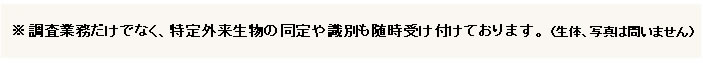 ※調査業務だけでなく、特定外来生物の同定や識別も随時受け付けております。 （生体、写真は問いません）